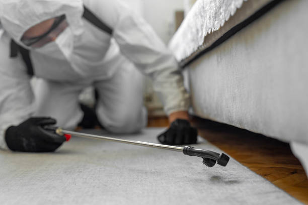 Professional Cockroach Control technician working in Bogata, TX