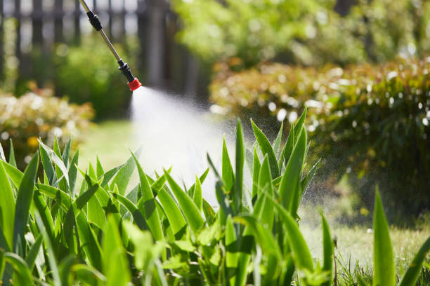 24/7 Emergency Cockroach Control experts in Bogata, TX