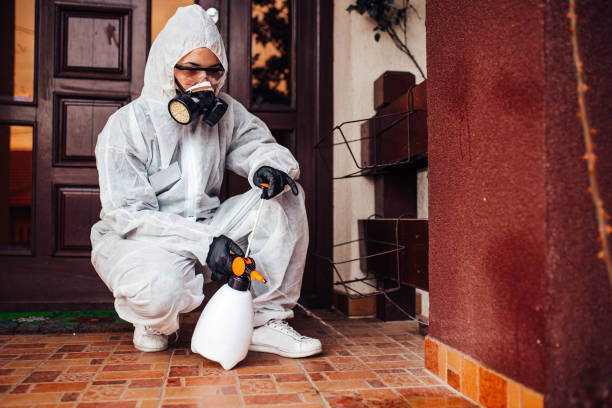 Reliable Cockroach Control contractor in Bogata, TX by Nex Pest Control